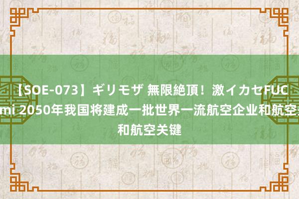 【SOE-073】ギリモザ 無限絶頂！激イカセFUCK Ami 2050年我国将建成一批世界一流航空企业和航空关键