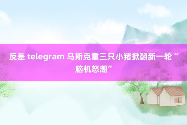 反差 telegram 马斯克靠三只小猪掀翻新一轮“脑机怒潮”