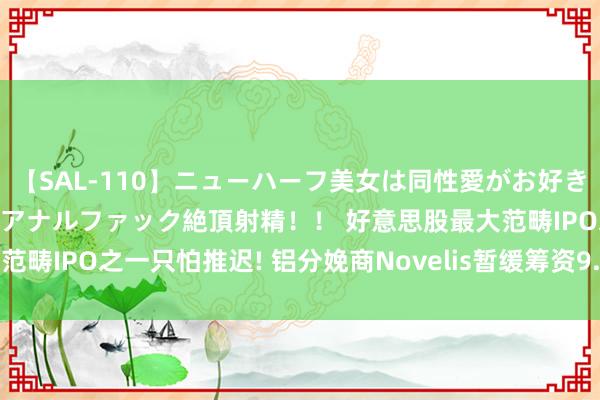 【SAL-110】ニューハーフ美女は同性愛がお好き♪ ニューハーフレズ濃厚アナルファック絶頂射精！！ 好意思股最大范畴IPO之一只怕推迟! 铝分娩商Novelis暂缓筹资9.45亿好意思元