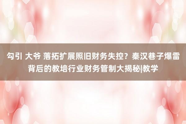 勾引 大爷 落拓扩展照旧财务失控？秦汉巷子爆雷背后的教培行业财务管制大揭秘|教学