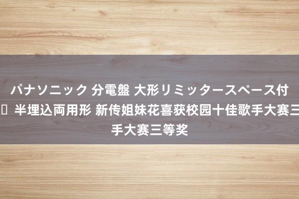 パナソニック 分電盤 大形リミッタースペース付 露出・半埋込両用形 新传姐妹花喜获校园十佳歌手大赛三等奖